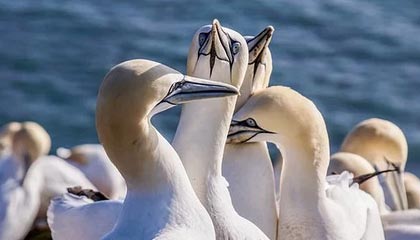 九游体育下载-球员训练负荷与比赛安排失衡，球员训练负荷与比赛安排失衡的原因