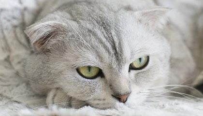 九游体育下载-球员训练负荷与比赛安排失衡，球员训练负荷与比赛安排失衡的原因