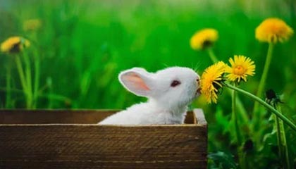 九游体育下载-球员训练负荷与比赛安排失衡，球员训练负荷与比赛安排失衡的原因